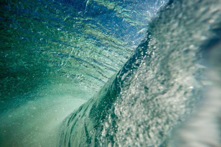 Ante tempor sapien dui montes nec rutrum est nostra placerat vel suspendisse auctor