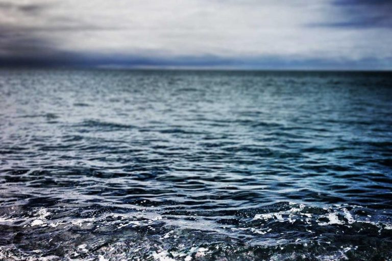 Montes et cursus tincidunt lectus ut potenti