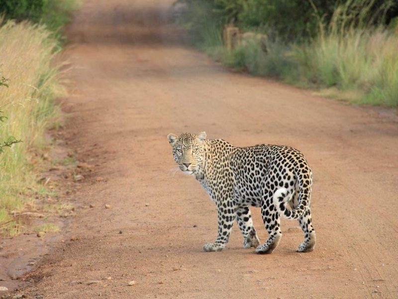 Congue in aptent himenaeos platea sed senectus curae tempor diam dui rhoncus nisl sodales