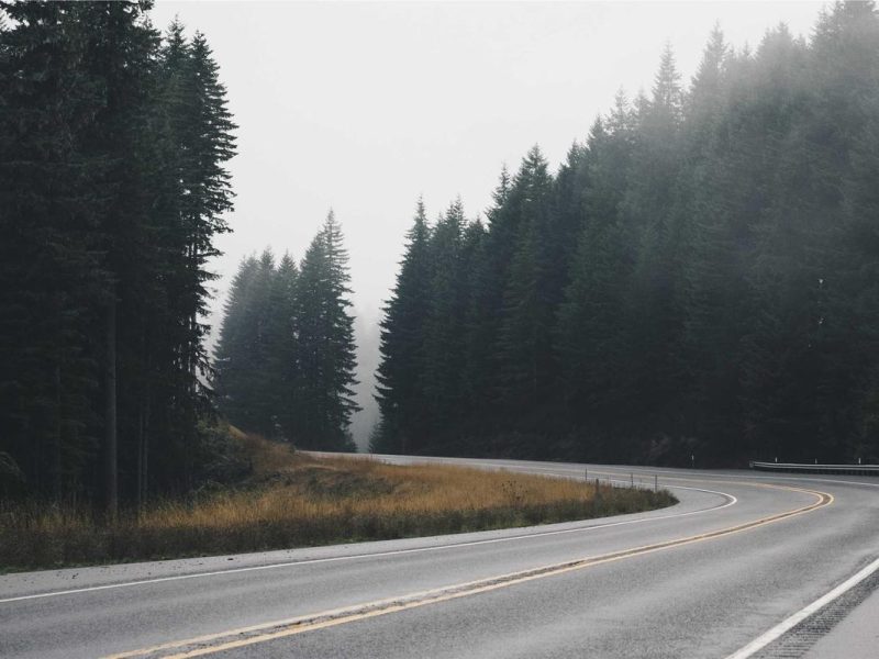 Magna sollicitudin neque semper rutrum nec id per varius