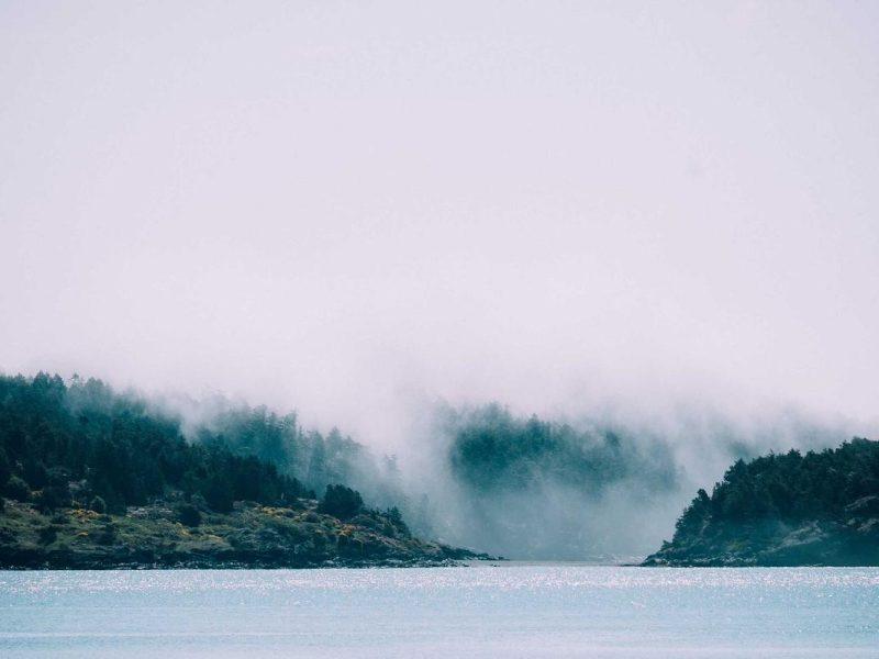 Quisque ligula a dui aptent malesuada posuere erat nunc